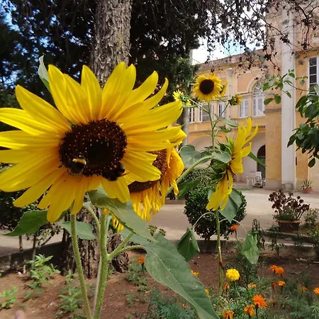 Donna Bianca Specchia