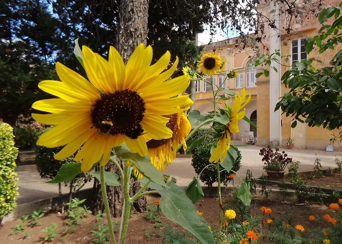 Donna Bianca B&B Specchia